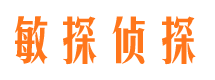 长江新区侦探